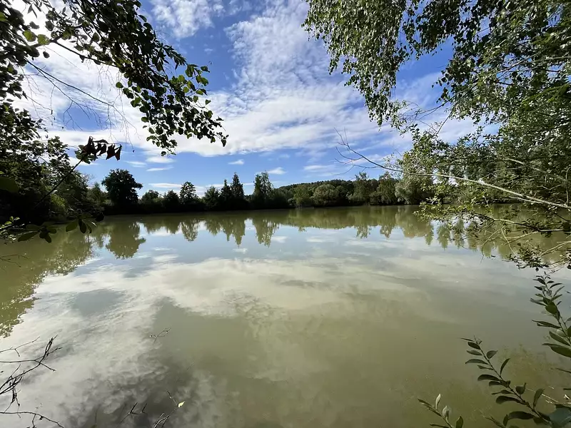 Étang d'agrément de 1 ha à Fismes
