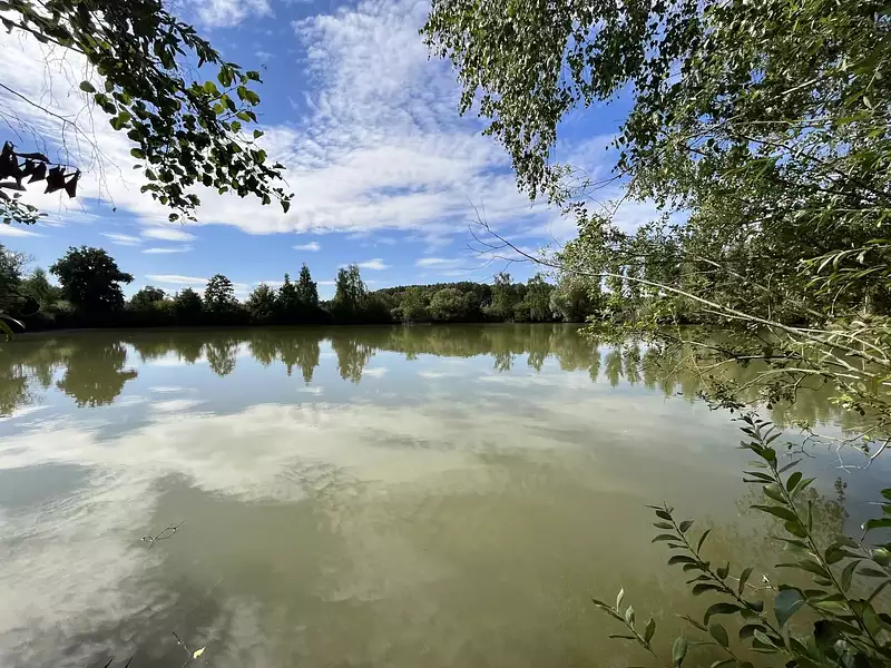 Étang d'agrément à Fismes