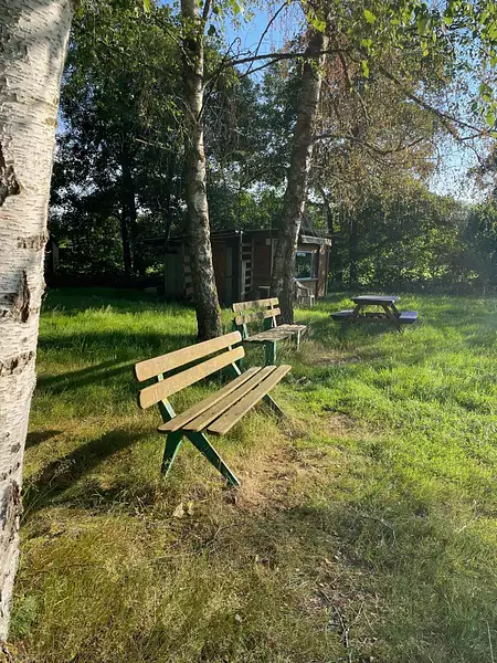 Étang d'agrément à Saint-Ulrich — photo 3