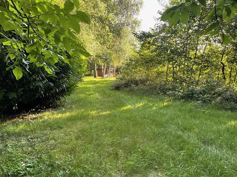 Étang d'agrément à Saint-Ulrich — photo 5