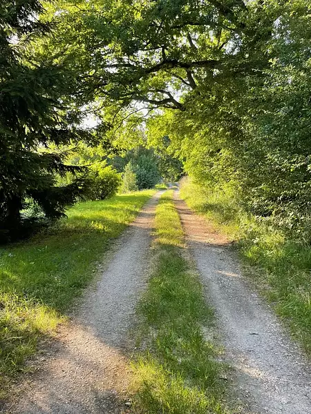 Étang d'agrément à Saint-Ulrich — photo 4