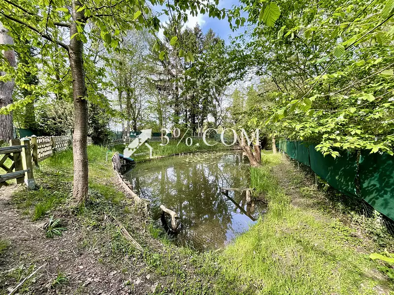 Leisure lake and woodland retreat near Strasbourg, Alsace — photo 5