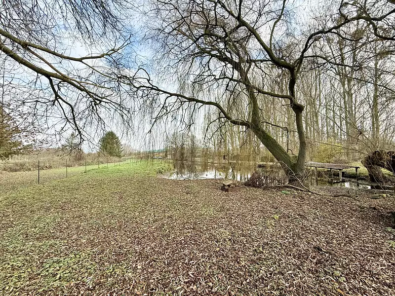 Étang d'agrément à Voyennes — photo 2
