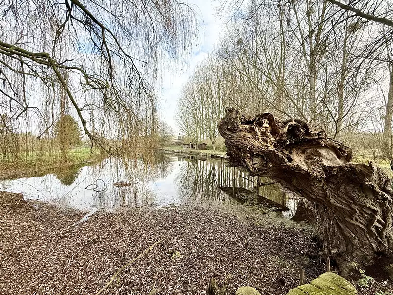 Étang d'agrément à Voyennes — photo 4