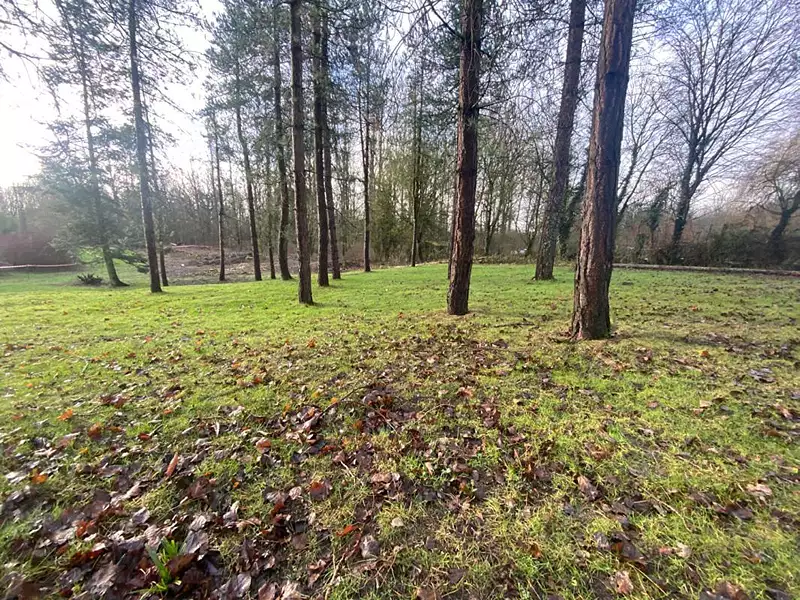 Étang d'agrément à Crémarest — photo 3