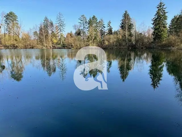 Étang d'agrément de 1,26 ha à Soissons — photo 2