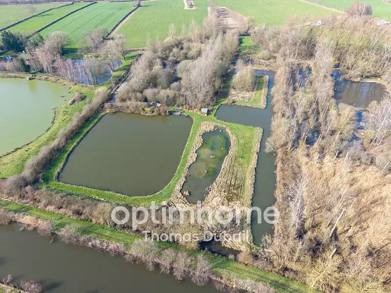 Étang de pêche à Landrecies