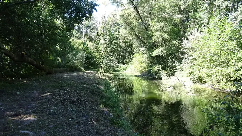 Étang de pêche à Ville-sur-Ancre