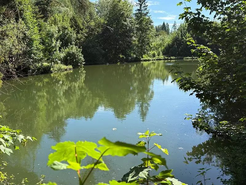 Étang de pêche à Breuil-le-Sec — photo 2