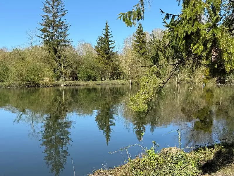 Étang de pêche à Breuil-le-Sec