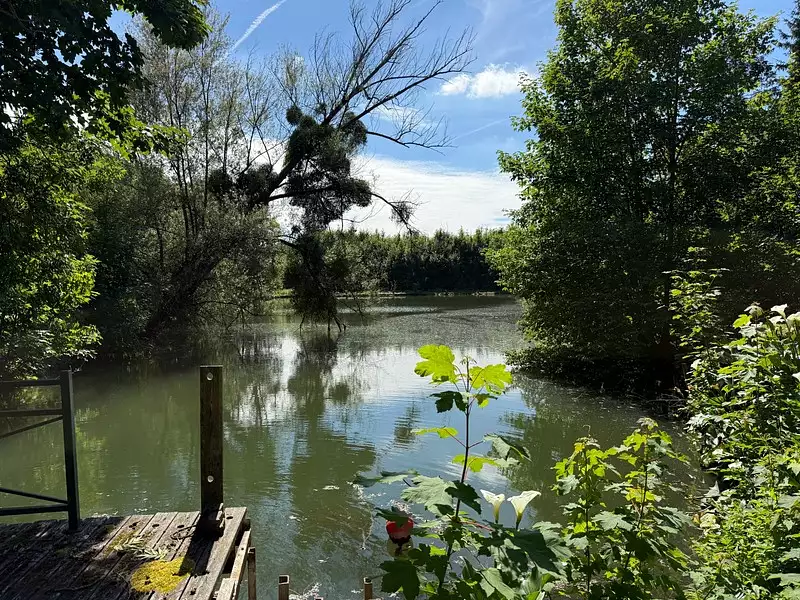 Étang de pêche à Breuil-le-Sec — photo 4