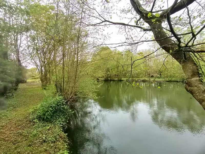 Étang d'agrément à Amiens — photo 3