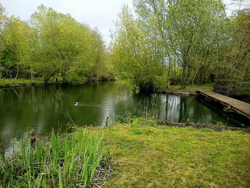 Étang d'agrément à Amiens — photo 2