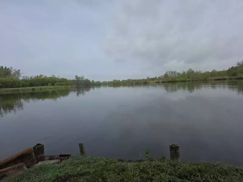 Étang de chasse à Condé-Folie — photo 2