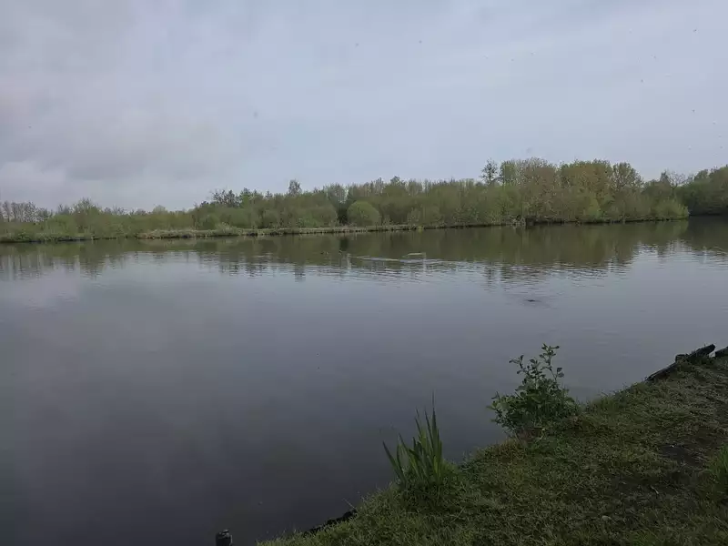 Étang de chasse à Condé-Folie — photo 3