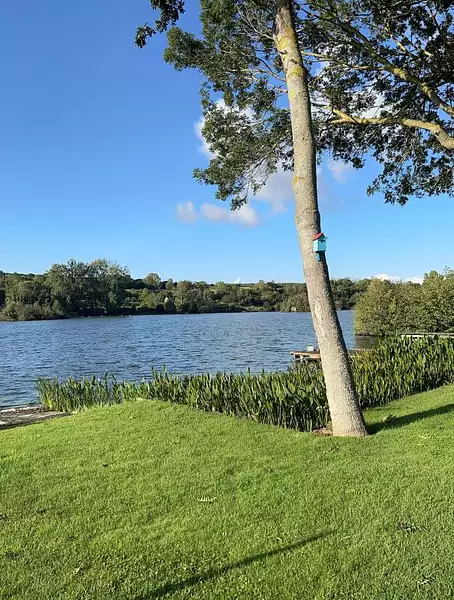 Étang d'agrément à Bray-lès-Mareuil