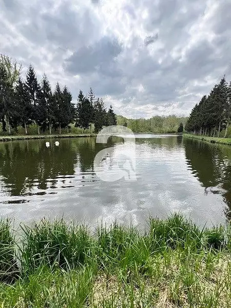 Étang d'agrément de 1,67 ha à Soissons — photo 3