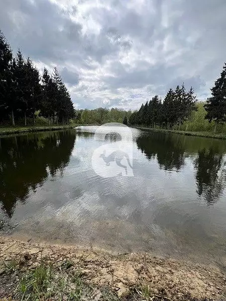Étang d'agrément de 1,67 ha à Soissons — photo 4