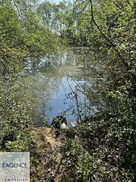 Étang d'agrément à Chavignon — photo 3
