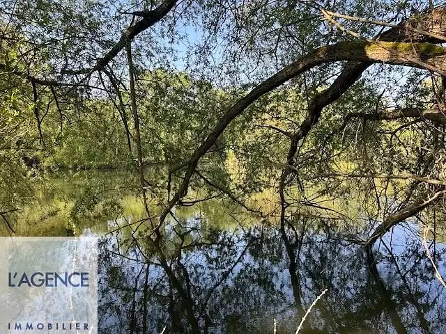 Étang d'agrément à Chavignon — photo 4