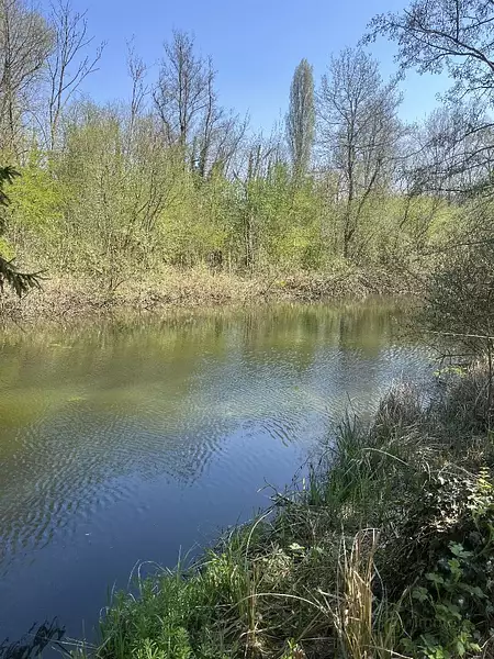 Étang de pêche de 1,74 ha à Moreuil — photo 3