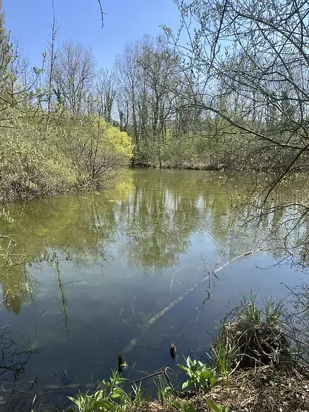 Étang de pêche de 1,74 ha à Moreuil — photo 4
