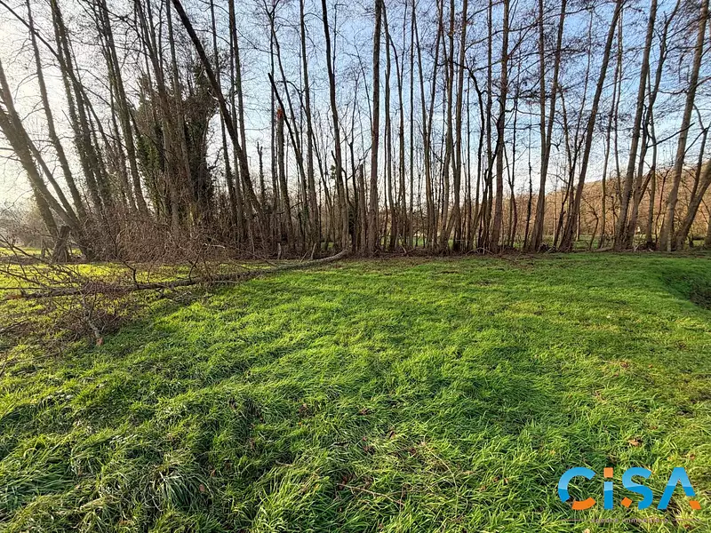 Étang de pêche à Neuilly-en-Thelle