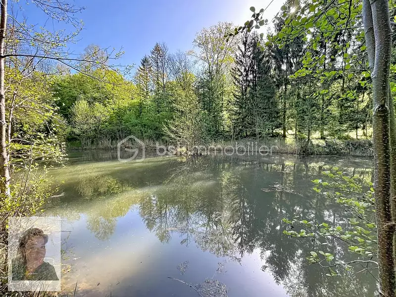 Étang de pêche à Ployart-et-Vaurseine
