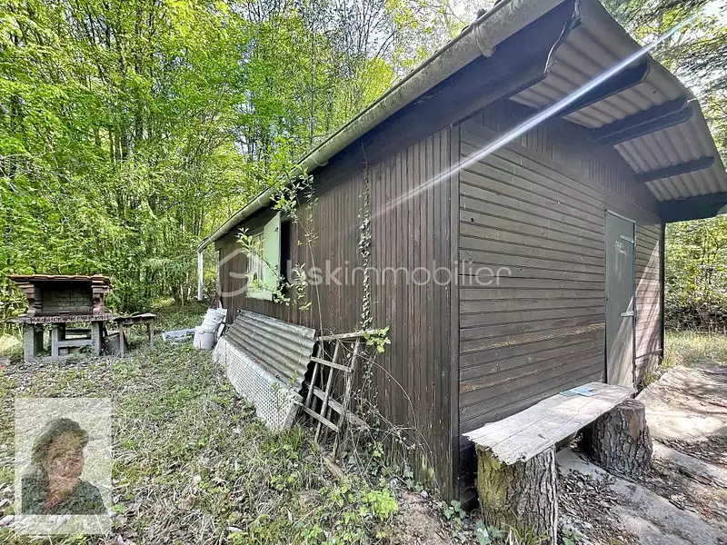 Fishing lake 0.25 ha, Aisne – peaceful leisure fishery — photo 5