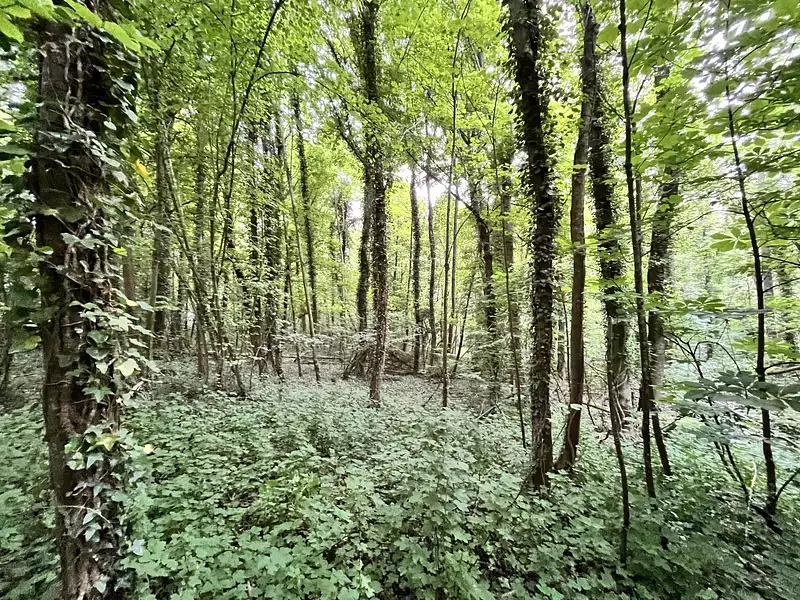 Étang d'agrément à Chevregny — photo 4