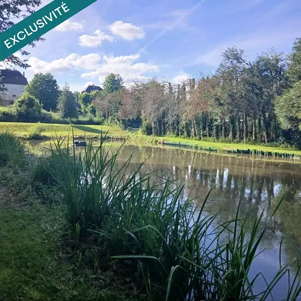 Étang d'agrément à Chavignon — photo 4
