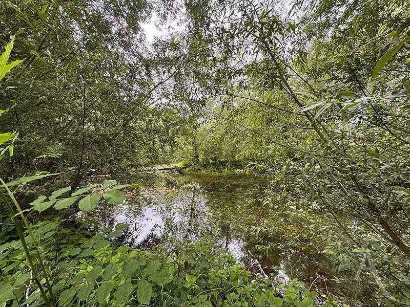 Étang de pêche à Chaussoy-Epagny