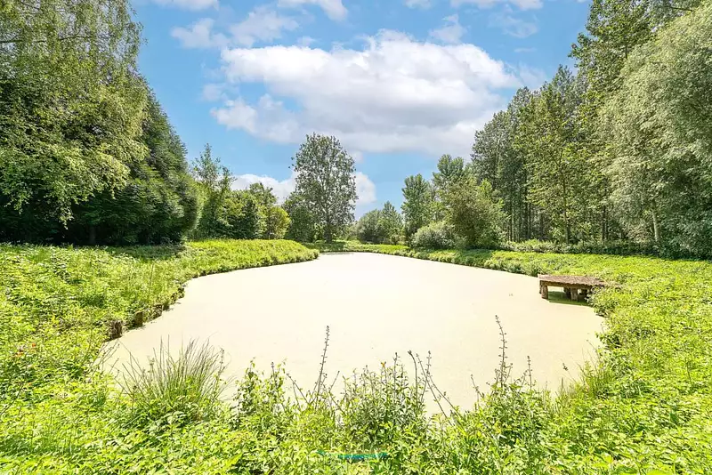 Fishing lake, 1.25 ha with leisure facilities in Northern France — photo 5