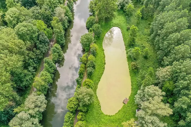 Étang de pêche à Millonfosse