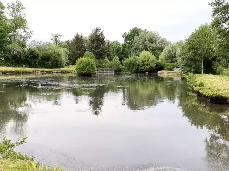 Étang de pêche à Grand Fayt (59)