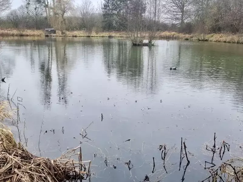 Étang de pêche à Grand Fayt (59) — photo 4