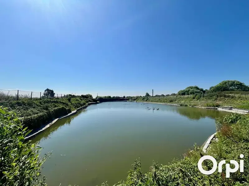 Étang de pêche à Marck (62)