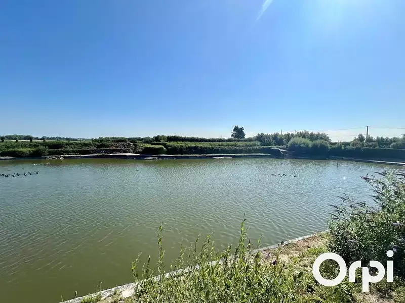 Étang de pêche à Marck (62) — photo 4
