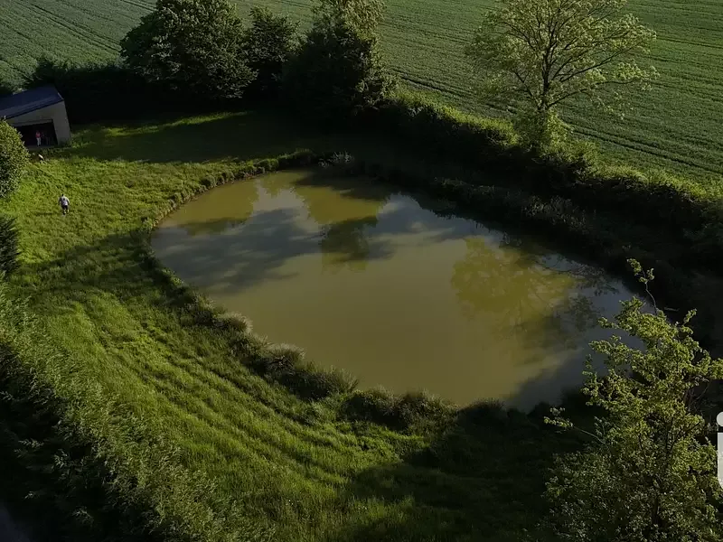 Étang de pêche à Dourlers (59)