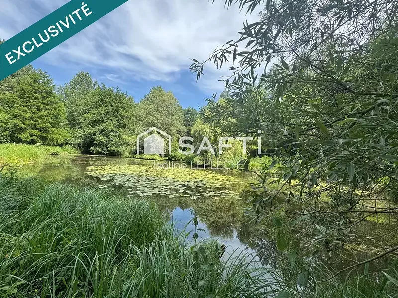 Étang de loisir à Cartigny (80) — photo 2