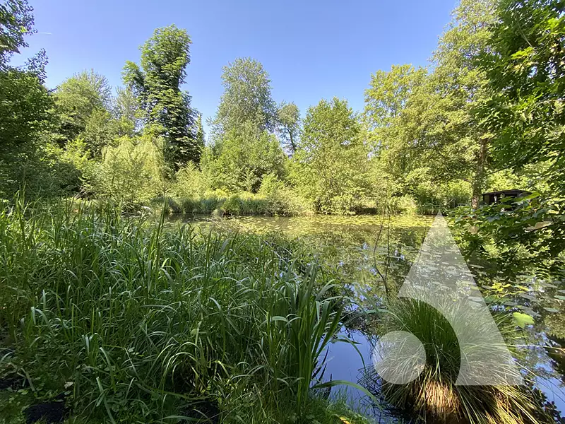 Étang de pêche à Gilocourt