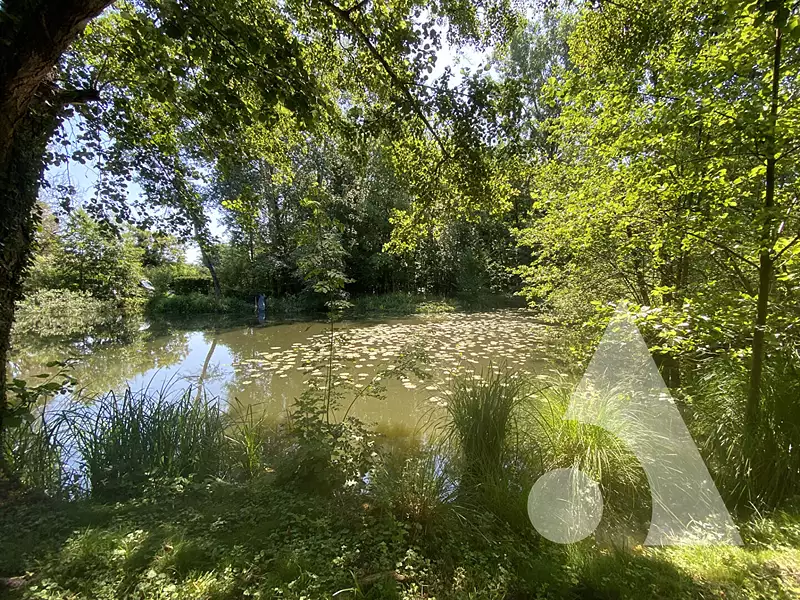Étang de pêche à Gilocourt — photo 2