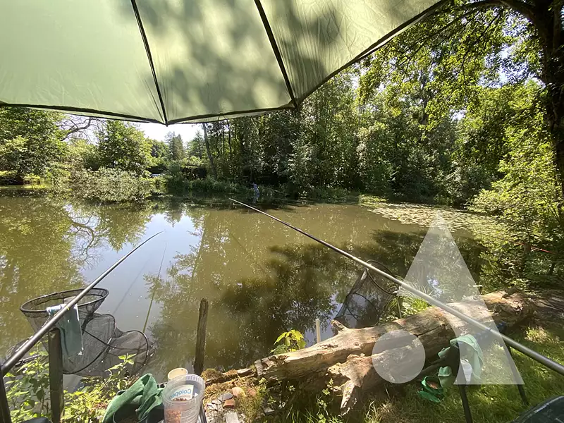 Étang de pêche à Gilocourt — photo 5