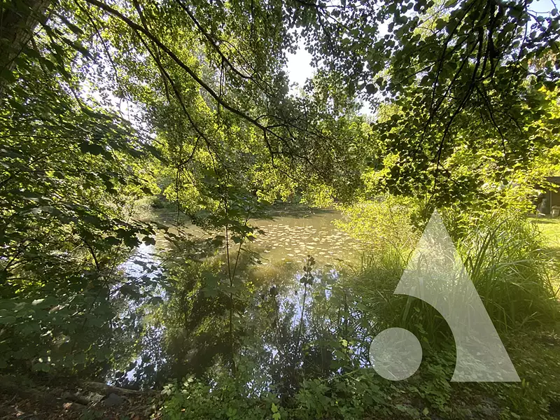 Étang de pêche à Gilocourt — photo 3