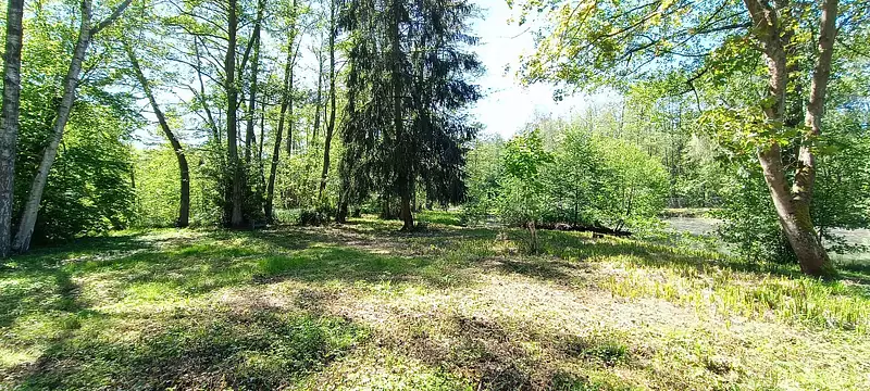 Étang d'agrément à La Ferté-Chevresis — photo 4