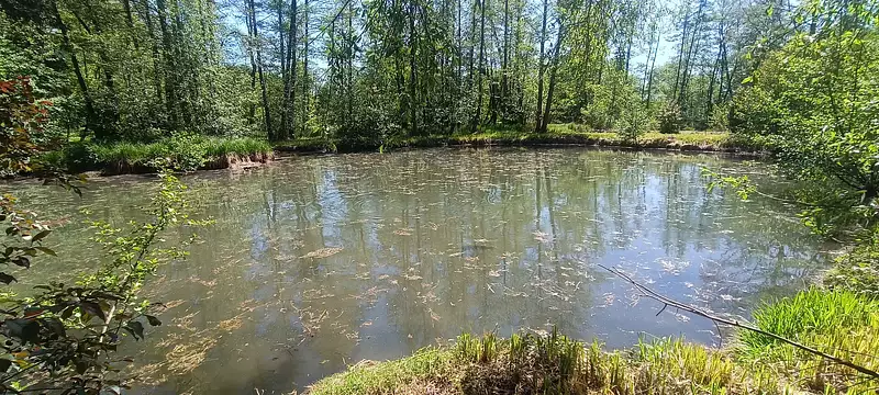 Étang d'agrément à La Ferté-Chevresis — photo 3