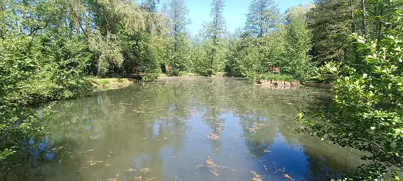 Étang d'agrément à La Ferté-Chevresis