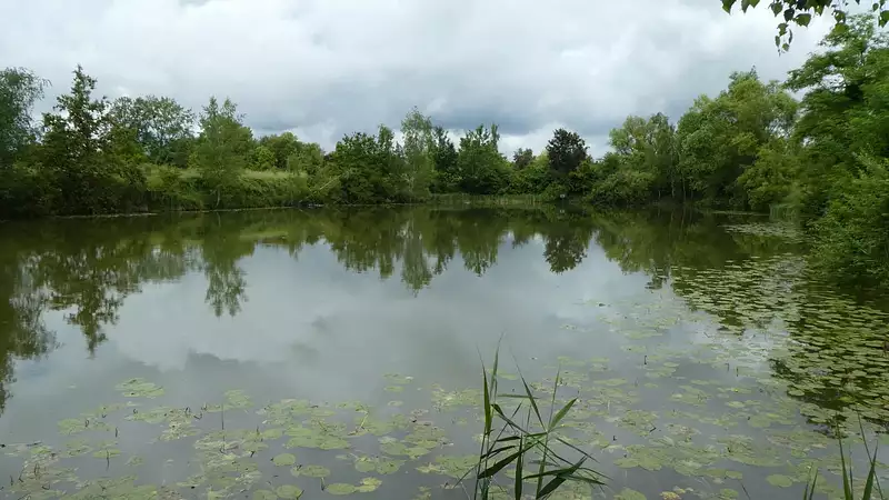 Étang de pêche de 1 ha à Soissons