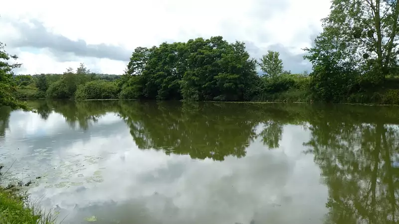 Étang de pêche de 1 ha à Soissons — photo 5