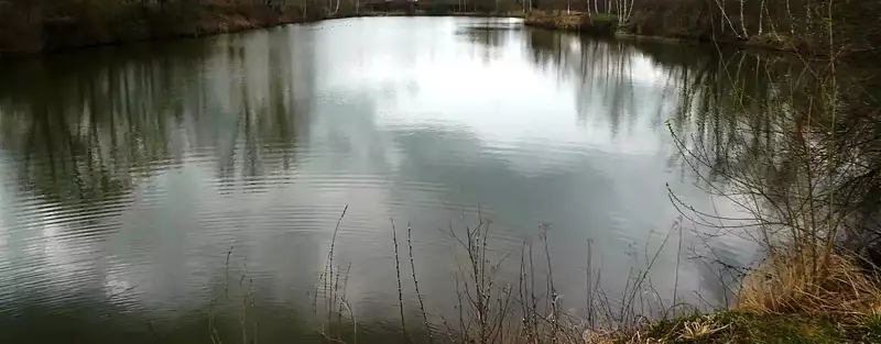 Étang de pêche de 1 ha à Soissons — photo 4